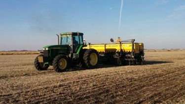 La siembra de trigo santafesina podría subir un 20%