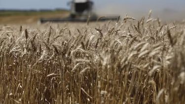 Los mapas de reservas de agua de Argentina muestran un cambio notable respecto a siete días atrás.