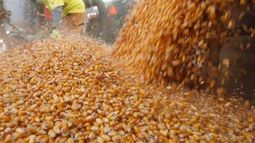 La agroexportación volvió a pisar el freno