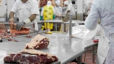Frigoríficos y matarifes deberán cumplir con el depósito de garantía para faena
