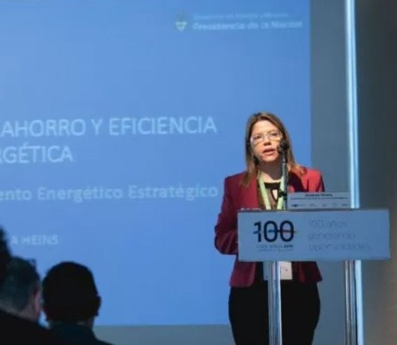 Buscan diferenciar hogares por su consumo de energía