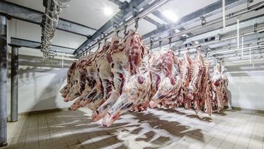 Durante enero se certificaron exportaciones por 64 mil toneladas de carne vacuna.