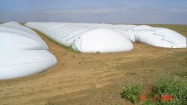 Denuncian otro caso de rotura de Silo Bolsa