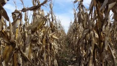 Segmentación de impuestos: un pueblo santafesino la aplica hace 17 años