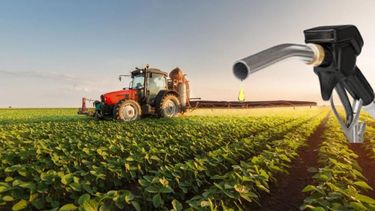 Los biocombustibles generaron un ahorro fiscal de US$ 27.000 millones en una década