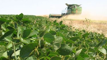La cadena de la soja se alineó con la idea de producir 70 millones de toneladas
