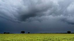 Las lluvias serán la constante en el este del área agrícola