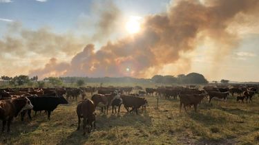 Extendieron la emergencia agropecuaria en Corrientes