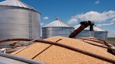 Las exportaciones del complejo sojero crecieron 45%