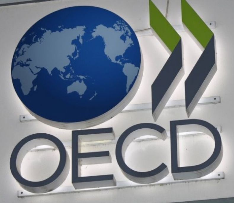 OCDE pidió acelerar el programa de reformas en Argentina