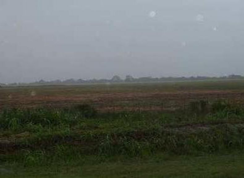 Las lluvias demorarán aun más la siembra de maíz en EE.UU.