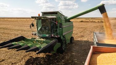Números positivos para el campo argentino.