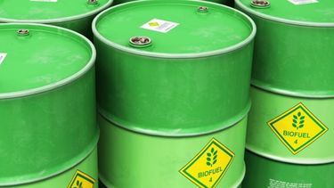 Empresas de biocombustibles piden la prórroga de la ley que vence en mayo