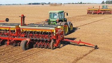 La siembra de soja ya cubrió el 97,1% de las 17,3 millones de hectáreas proyectadas.