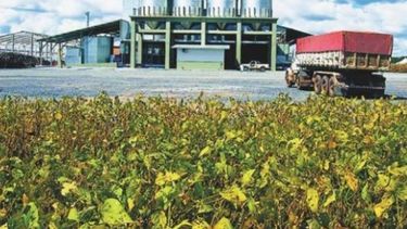 La agroexportación devengó u$s 1.800 millones en enero