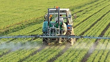 Afirman que Argentina es el país con las políticas agropecuarias más "distorsivas"