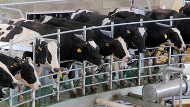 La lechería experimenta una crisis inédita