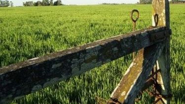 La actividad inmobiliaria rural sufrió una mínima merma mensual