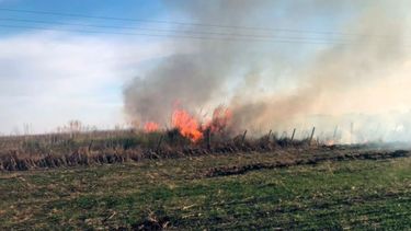 Aprobaron proyecto que prohíbe la venta de campos incendiados intencionalmente