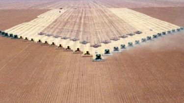 Brasil achicó su previsión para la cosecha agrícola del 2014