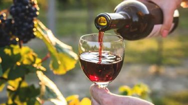 Buscan evitar la apropiación de la marca Patagonia