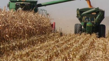 El nuevo modelo económico tiene efectos dispares en el agro