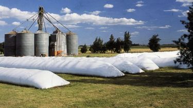 Por la situación del dólar, productores no comercializan granos