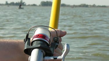 Habilitan uso de reserva de captura para el besugo en el Río de la Plata