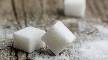 Agricultura distribuyó entre 15 ingenios la cuota de azúcar para exportar a EE.UU.