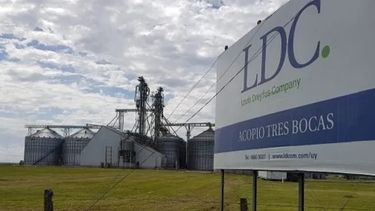Louis Dreyfus Company (LDC) tiene 120 años de presencia en el país en el negocio de algodón, cereales y oleaginosas.&nbsp;