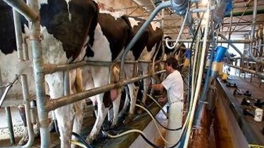 Tamberos: bajan de forma permanente la retención del IVA al 1%