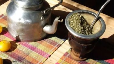 El consumo de yerba mate superó los 238 millones de kilos en 2021