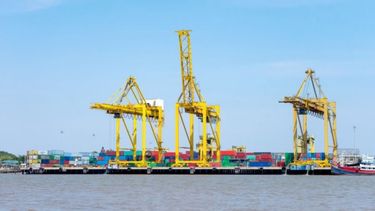 Incertidumbre por nuevos requisitos sanitarios para exportar a China