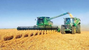 Reducen la expectativa de la cosecha de soja en 2,5 millones de toneladas