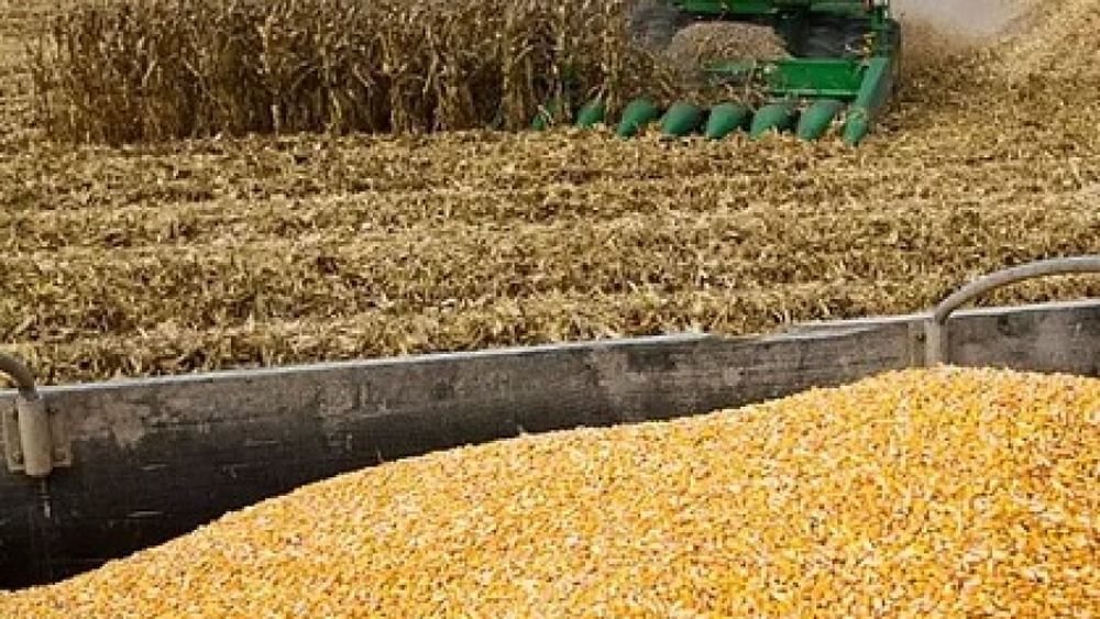 El Senasa reglamentó la inscripción en el SISA