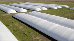 La tokenización de las silobolsas.