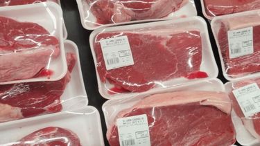El precio de la carne retrocedió 0,4 por ciento en octubre