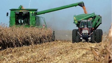 El rendimiento de la cosecha de granos.