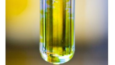 Establecen nuevos precios para el bioetanol