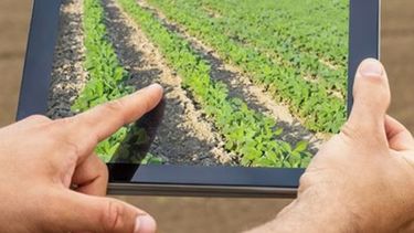 Invertirán $11 millones para mejorar la inserción de PYMES en los mercados