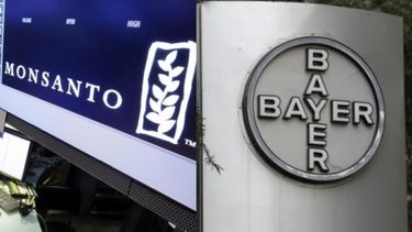 Bayer y Monsanto se fusionan para potenciar negocios