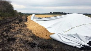 Afirman que se esclarecieron ataques a silobolsas en "La Provincia"