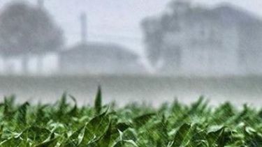 El campo debe mantenerse atento a la pelea entre "El Niño" y "La Niña"