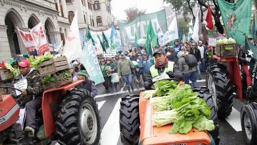 Nuevo "tractorazo", esta vez frente al Ministerio de Agroindustria