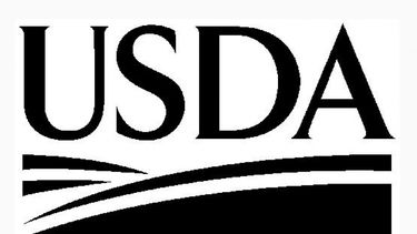 USDA mantuvo las estimaciones para cosechas de soja y maíz de Argentina