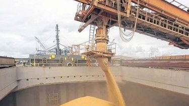 La liquidación de divisas es la más baja de los últimos cinco años