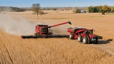 Reducen la estimación de soja a 52 millones de toneladas