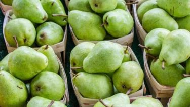 Las exportaciones de peras aumentaron más de 9% en 2020