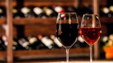 Impuestos explican alrededor del 43% del precio del vino