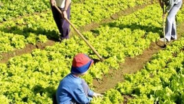 La Agricultura Familiar se incorporará al Código Alimentario Argentino